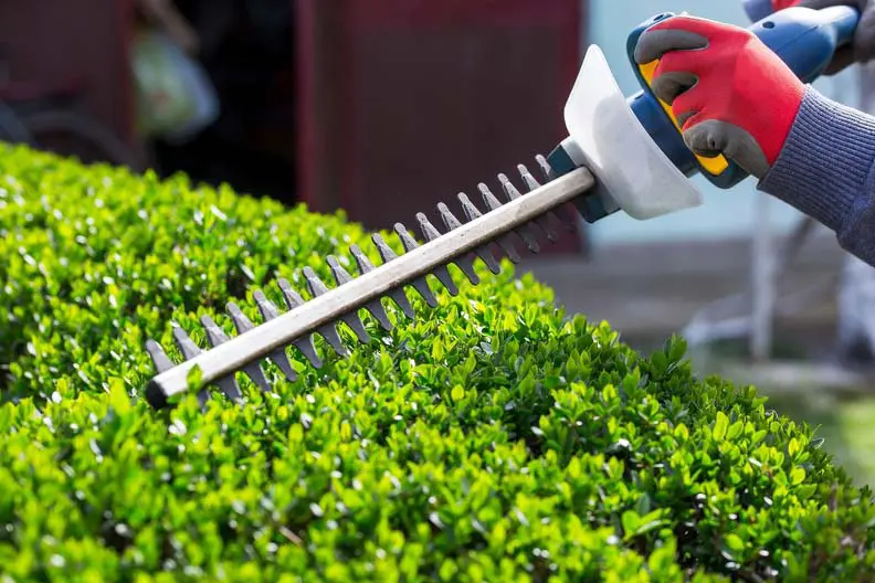 Landscaping