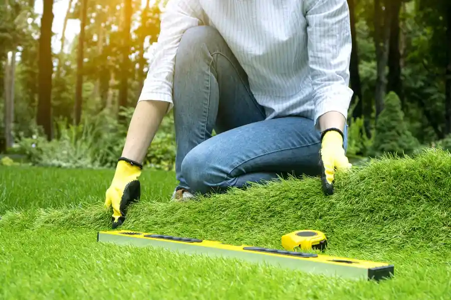 Experienced Artificial Turf Installation Madera, CA Experienced Artificial Turf Installation Madera, CA