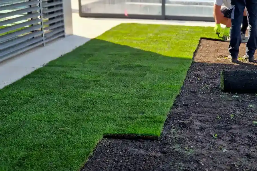 Expert Artificial Turf Installation Madera, CA Expert Artificial Turf Installation Madera, CA